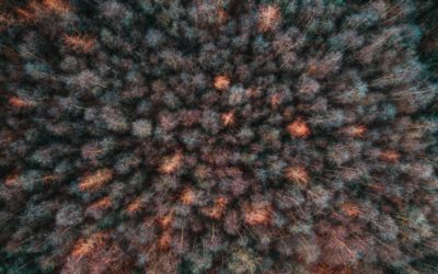 INFERTILITA’ DI COPPIA: QUANDO LA NAVIGAZIONE INCONTRA UNA DIGA
