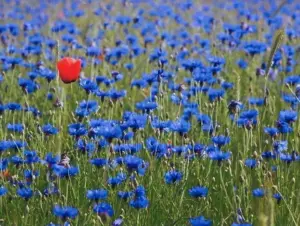 perndersi cura della persona adhd